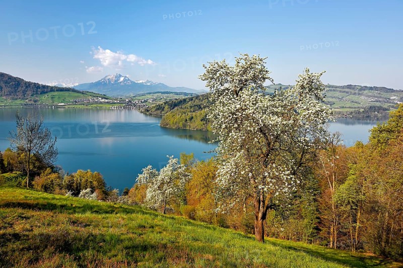 View of Lake Zug and Mount Pilatus