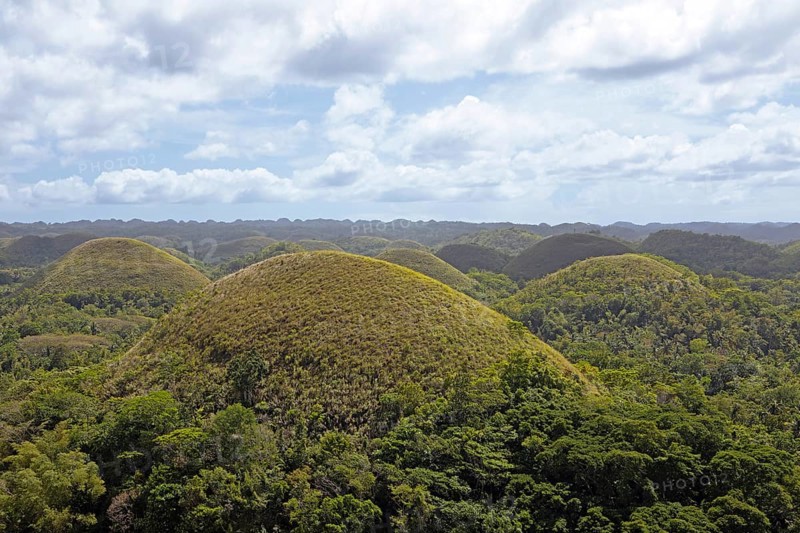 Chocolate Hills