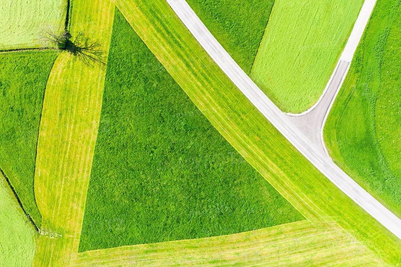 Cultural landscape