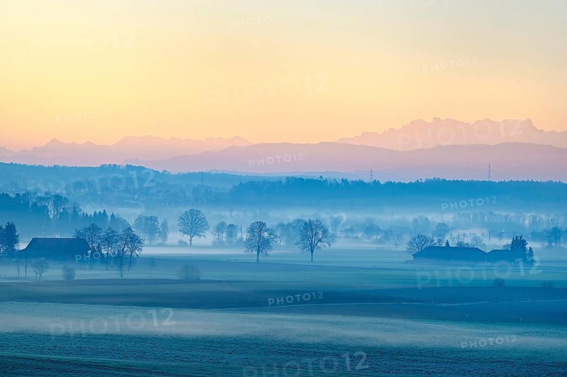 Farm