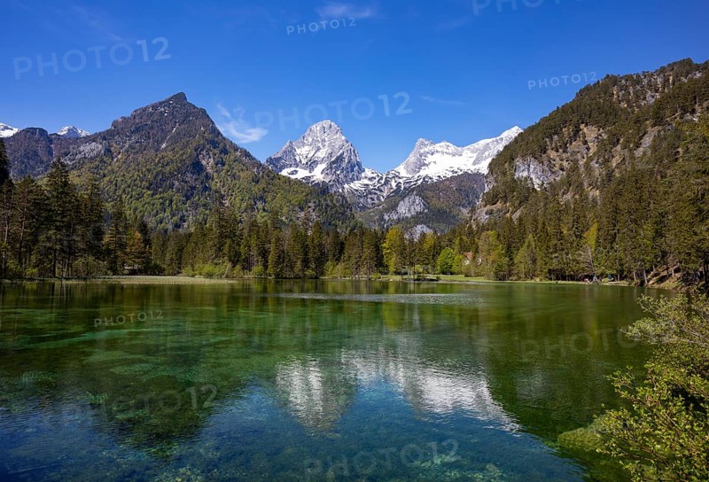 Schiederweiher
