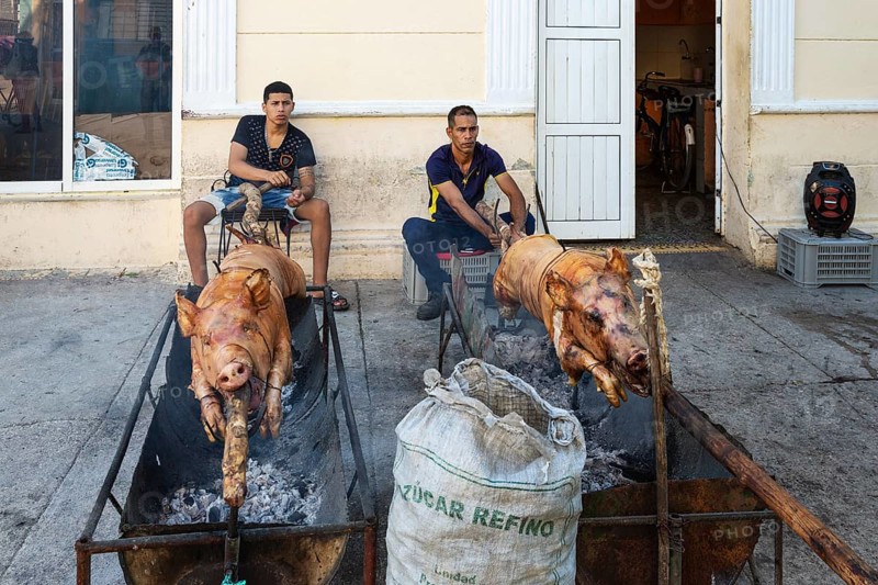 Roasting pigs in a pedestrian area of the town centre in order to subsequently sell meat portions to the public