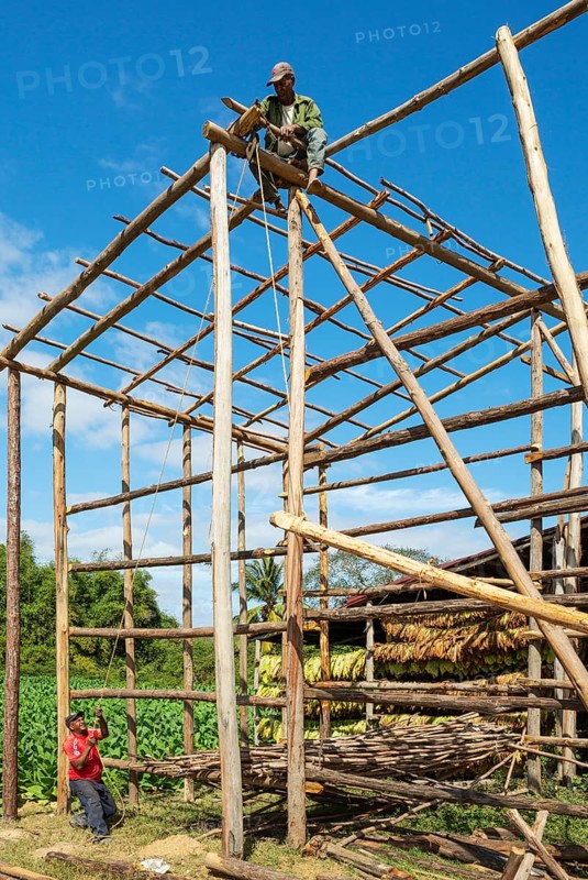 Building a barn for drying tobacco leaves