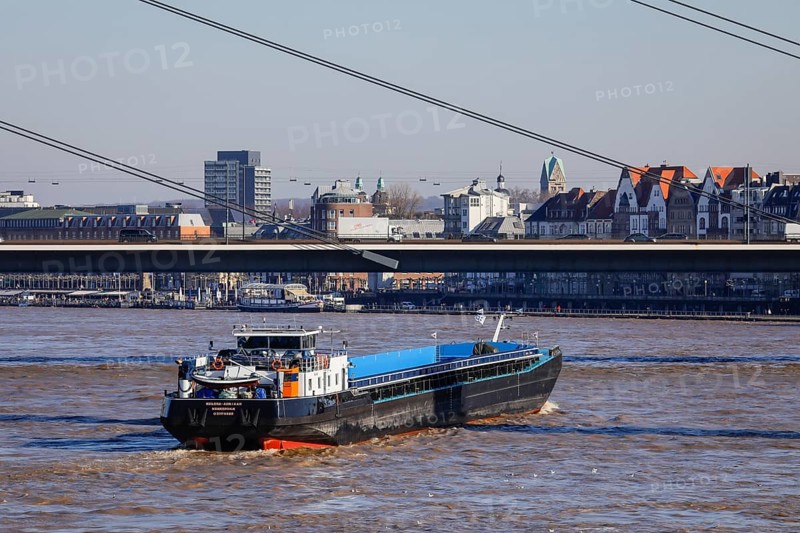 Freighters navigating at high water on the Rhine under the Rheinkniebruecke