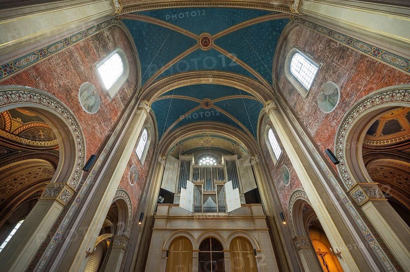 Organ gallery