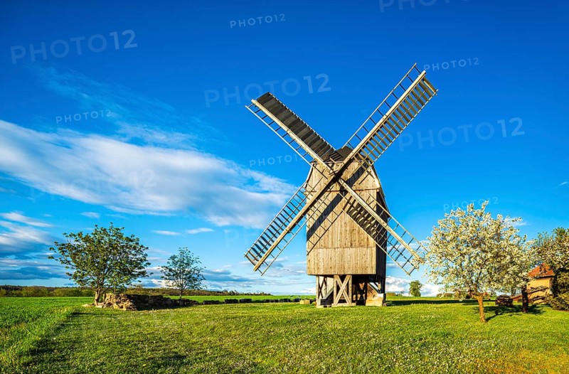 Buck windmill Tuengeda