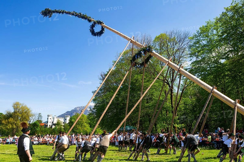Maypole erection at Marzoll Castle