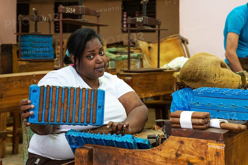Worker shows cigars