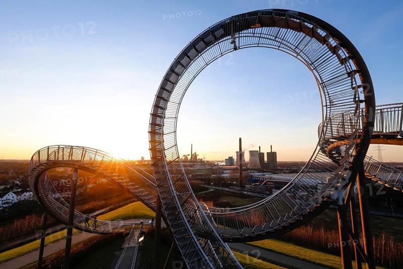 Tiger and Turtle