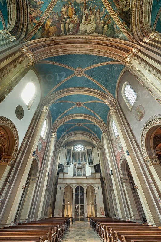 Organ gallery