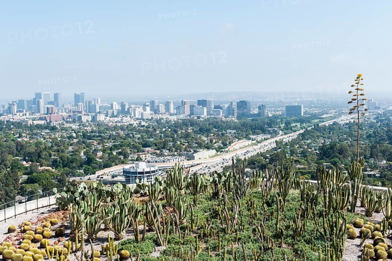 View of cactus garden and downtown from the Getty Center in Brentwood