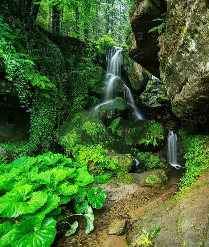 Lichtenhain waterfall in the Kirnitzsch valley