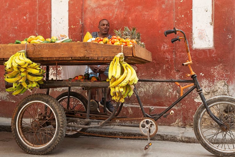 Mobile bicycle fruit and veg stall