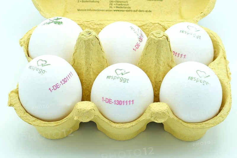 Egg-box of white free-range eggs marked respeggt