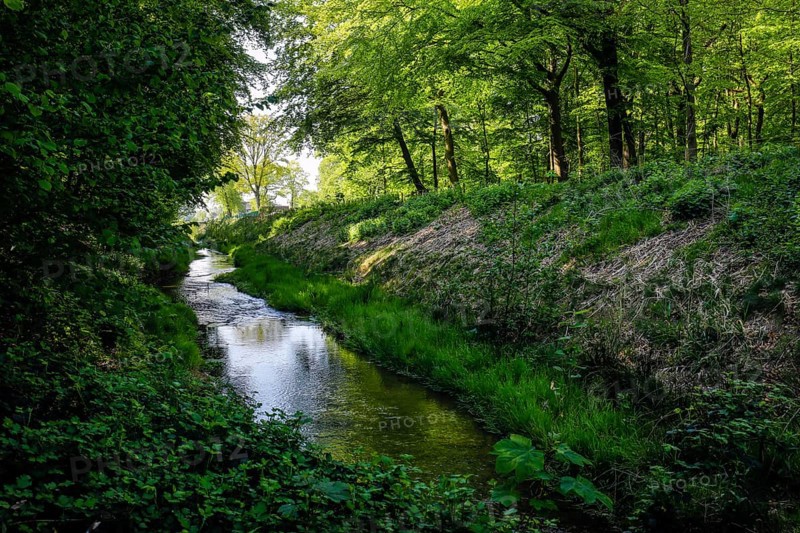 Renaturalised watercourse