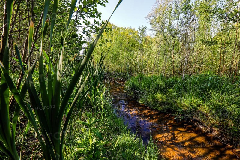 Renaturalised watercourse