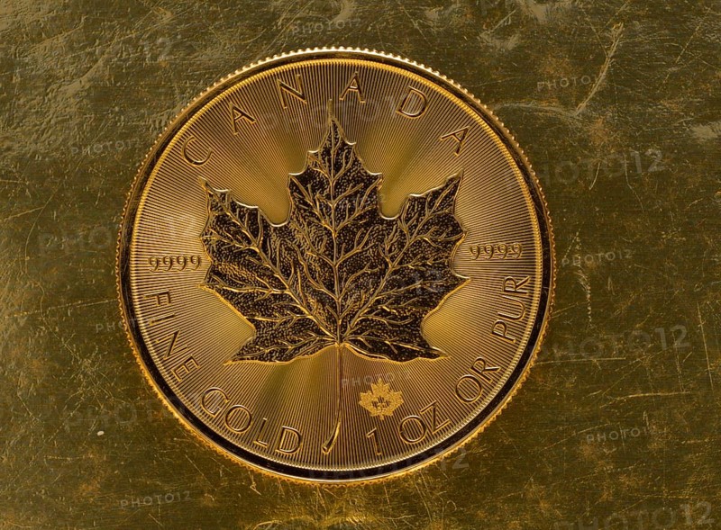 Gold coin