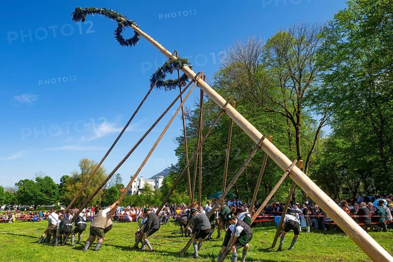 Maypole erection at Marzoll Castle