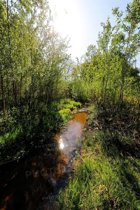 Renaturalised watercourse