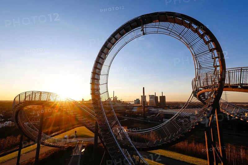 Tiger and Turtle