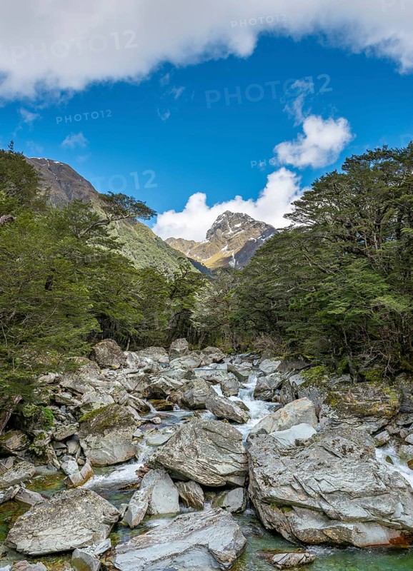 Mountain stream
