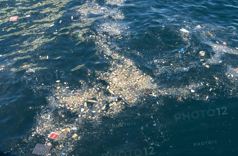 Garbage carpet floating on the water surface
