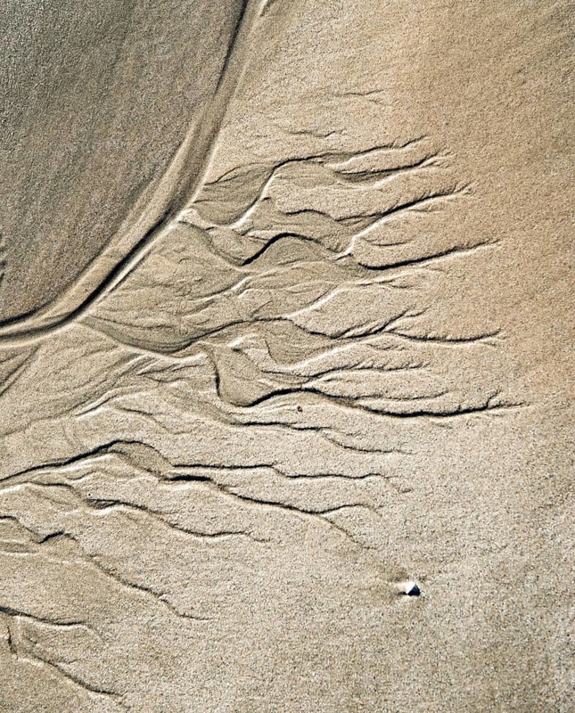 Meandering pattern of run-off water in sand