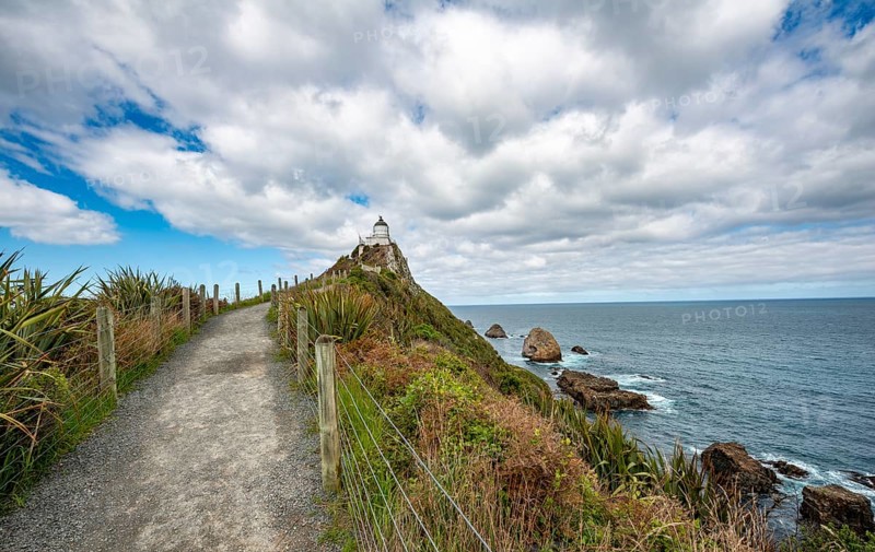 Way to the lighthouse at Nugget Point