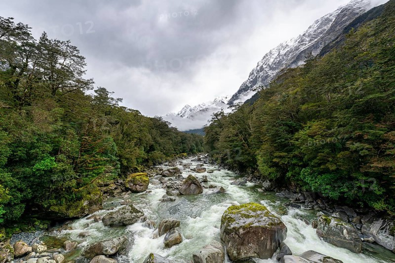 Hollyford river with snowy mountains