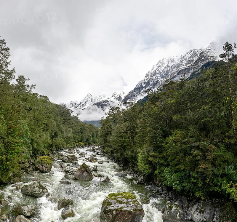Hollyford river with snowy mountains