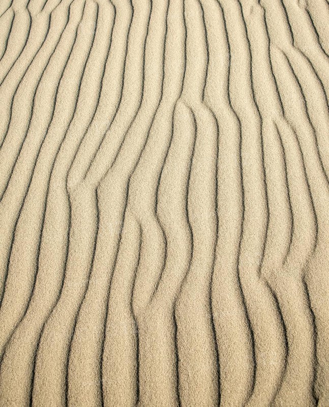 Wave patterns in light sand