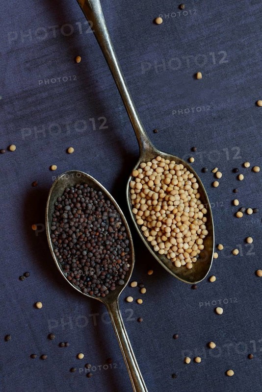 White and black mustard seeds in spoon