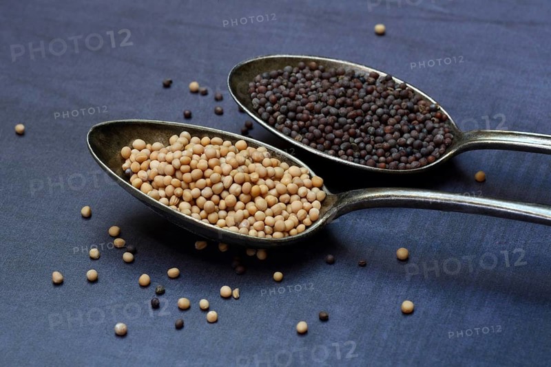 White and black mustard seeds in spoon