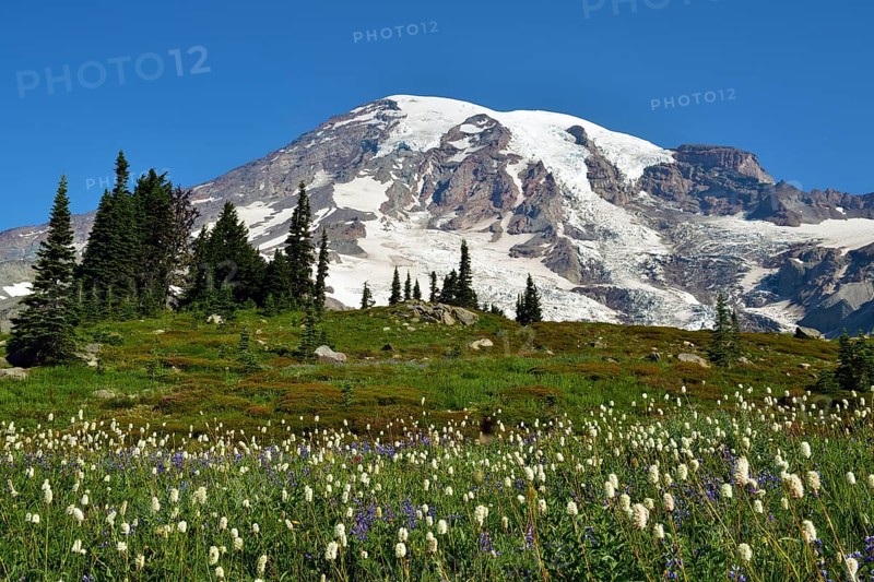Summit Mount Rainier