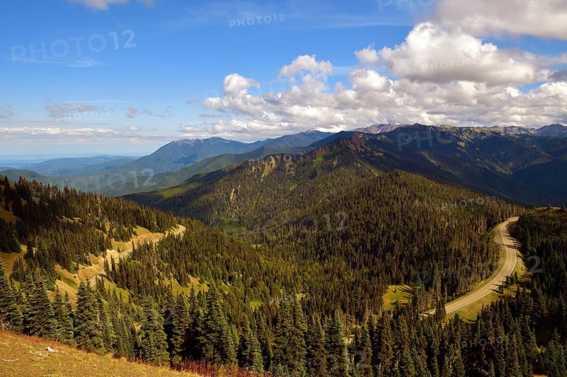 Road to Hurricane Ridge Visitor Center