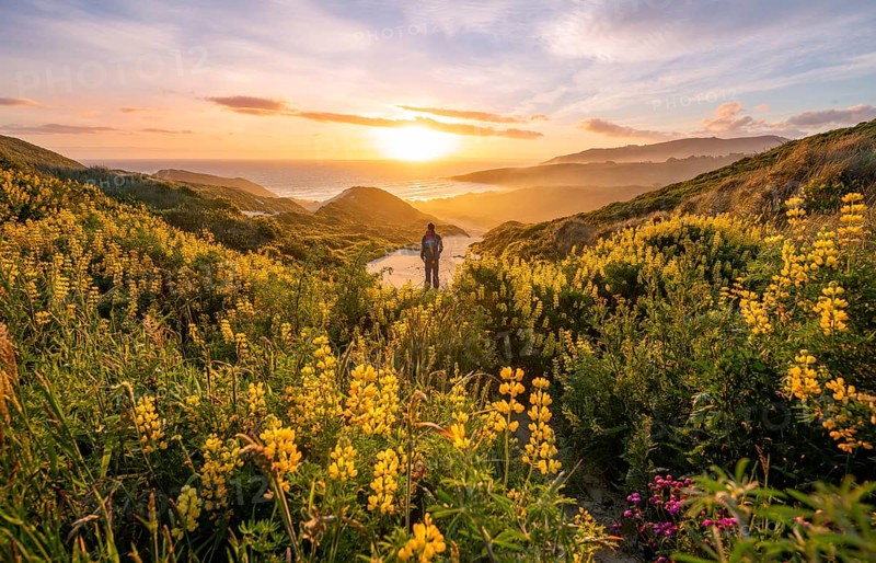 Young man looking at bay