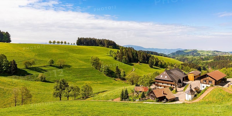 Black Forest house near St. Maergen