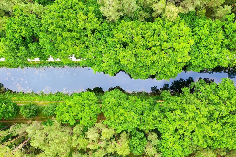 Ludwig-Danube-Main Canal in the forest from above