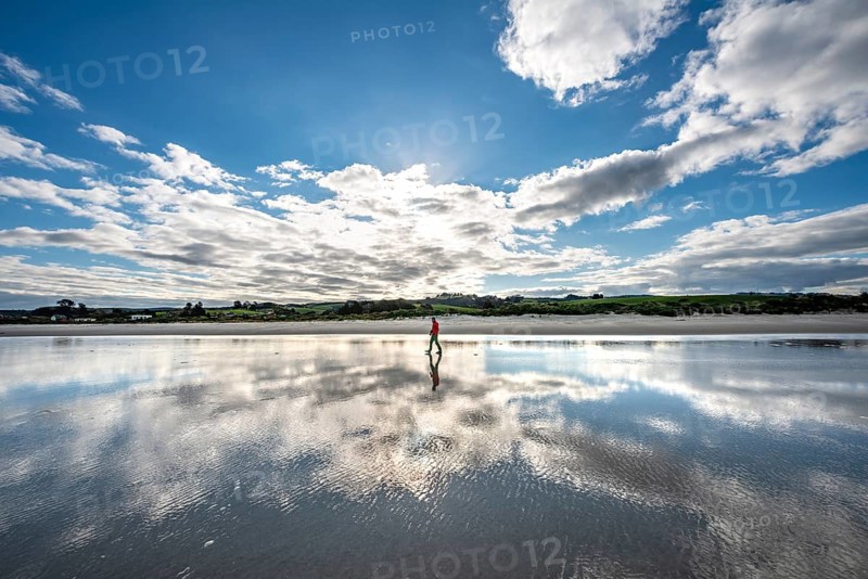 Reflection