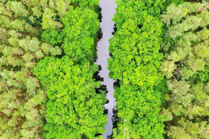 Ludwig-Danube-Main Canal in the forest from above