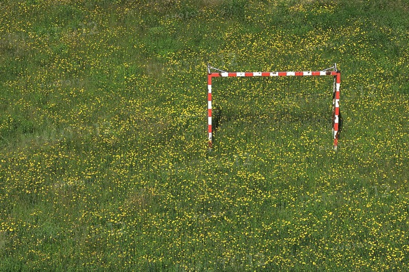 Meadow