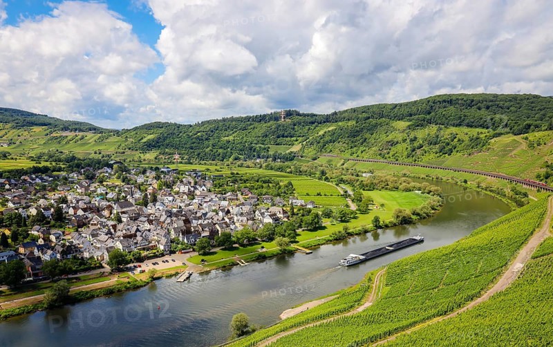 Vineyards on the Moselle