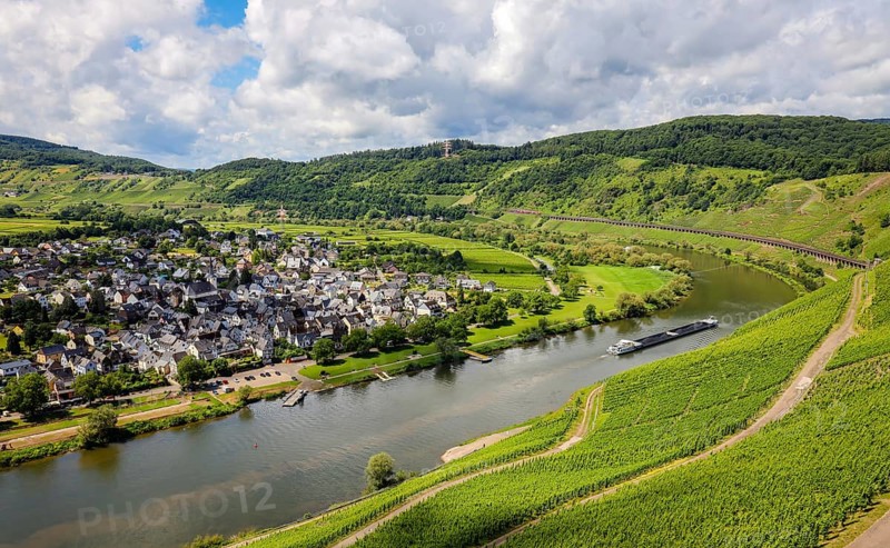 Vineyards on the Moselle