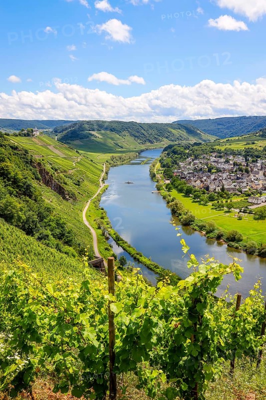 Marienburg above vineyards on the Moselle