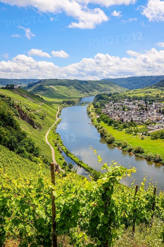 Marienburg above vineyards on the Moselle
