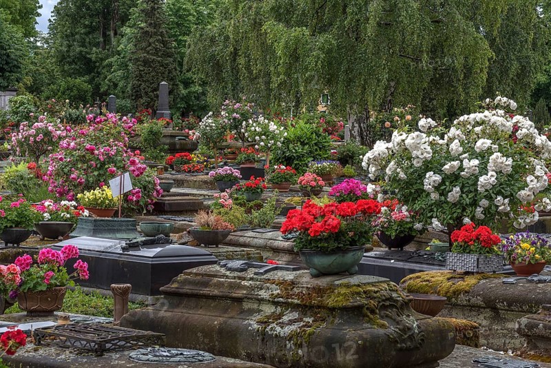 Old graves with floral decoration