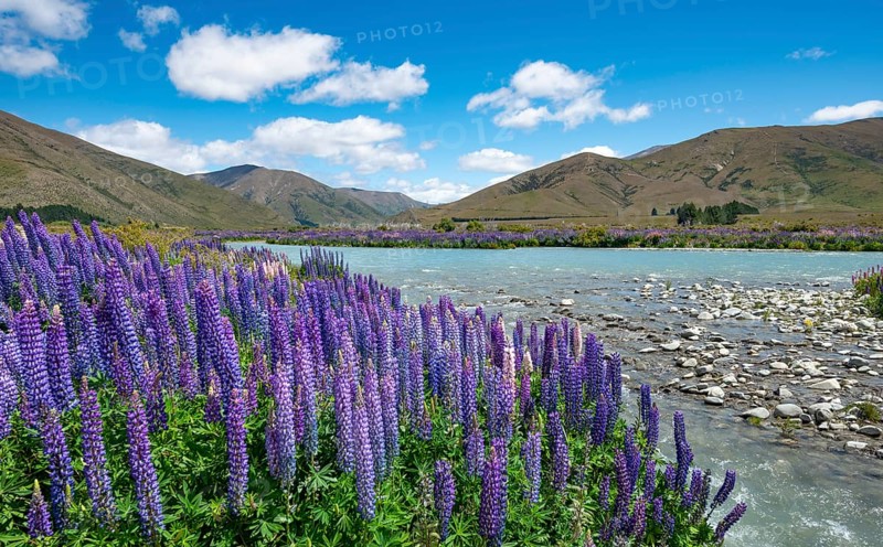 Ahuriri River