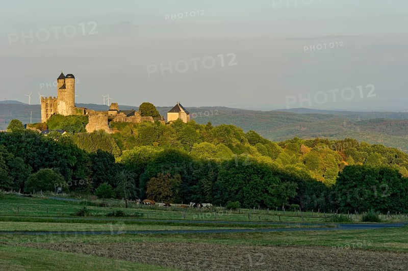Ruins of the medieval castle Greifenstein
