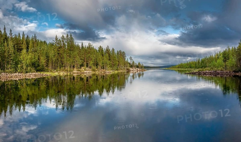 Nordic forest reflected in a lake