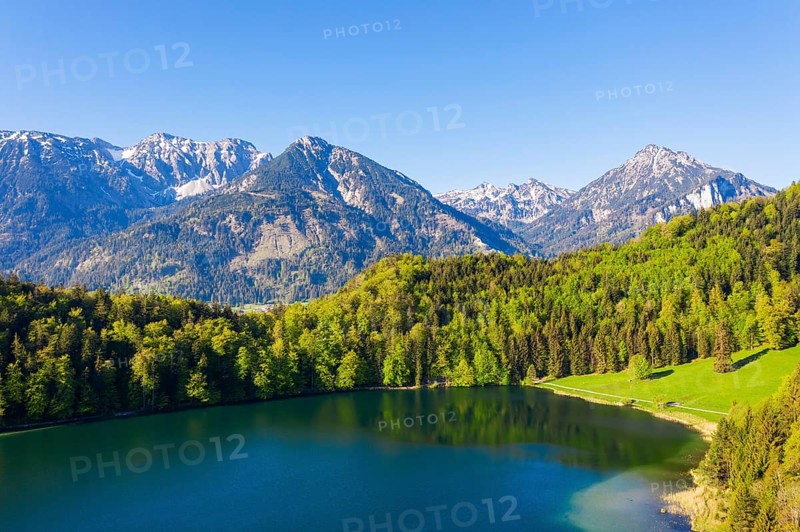 Alatsee